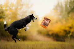 Marp Treats Holistic+ pre psov kačka mobility 80g funkčné pamlsky 1