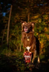 Marp Treats Holistic  Lososové sa ľanovým semienkom bez obilnín 10x150g 1