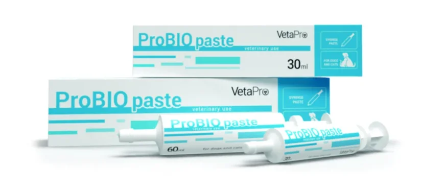 VetaPro ProBio paste 15ml probiotická pasta pre psov a mačky VetaPro ProBio paste 15ml probiotická pasta pre psov a mačky