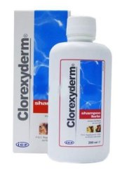 ICF Clorexyderm šampón forte 200 ml