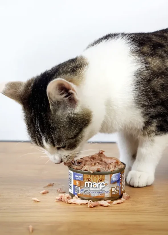 Marp Holistic+ konzerva pre mačky Tuniak so sardinkami a čučoriedkami v želé 24x70g 3