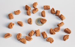 MAGNUSSON Meat and Biscuit Adult 4,5 kg