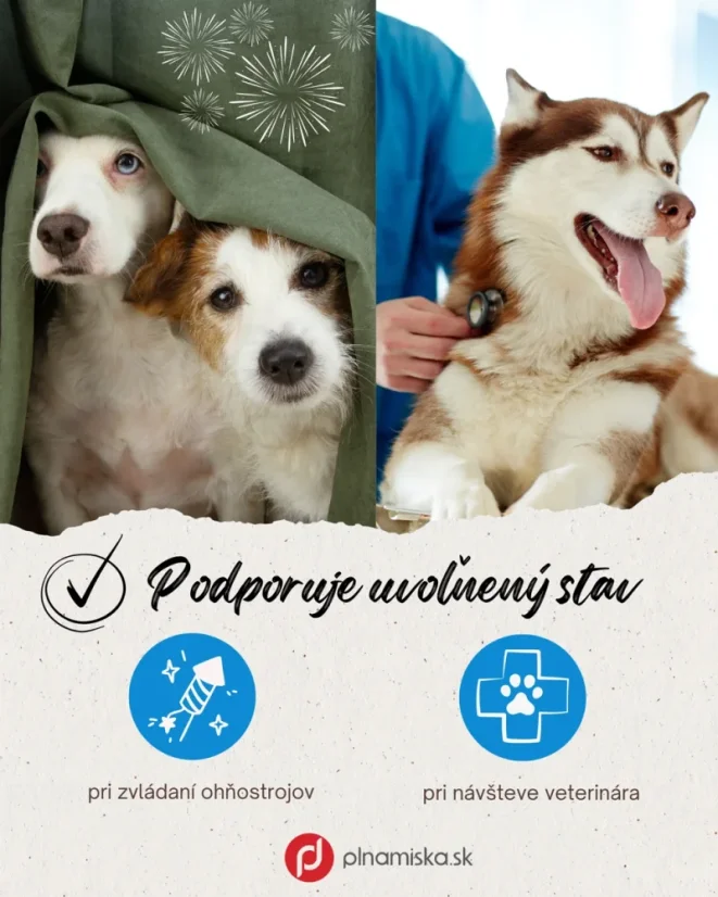 VetaPro Calmatonin 20 cps. doplnok pre psa na upokojenie 3