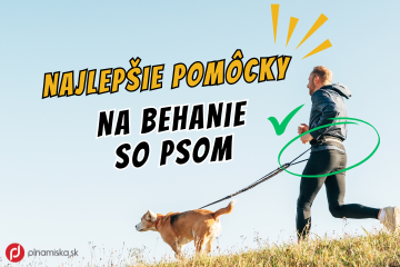 TOP pomôcky na behanie so psom.