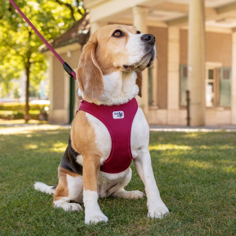 CURLI Vest Harness Clasp Air-Mesh S Red