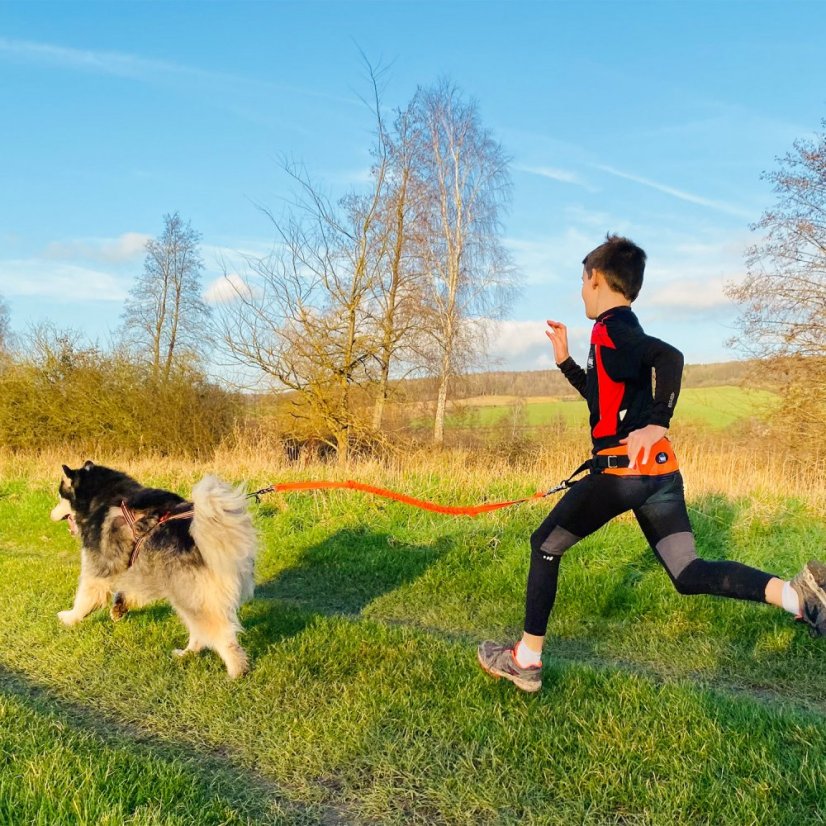 I-DOG Sedák canicross ONE LIGHT
