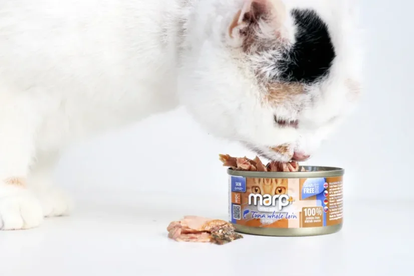 Marp Holistic+ konzerva pre mačky Tuniakové filety vo vývare 70g 3