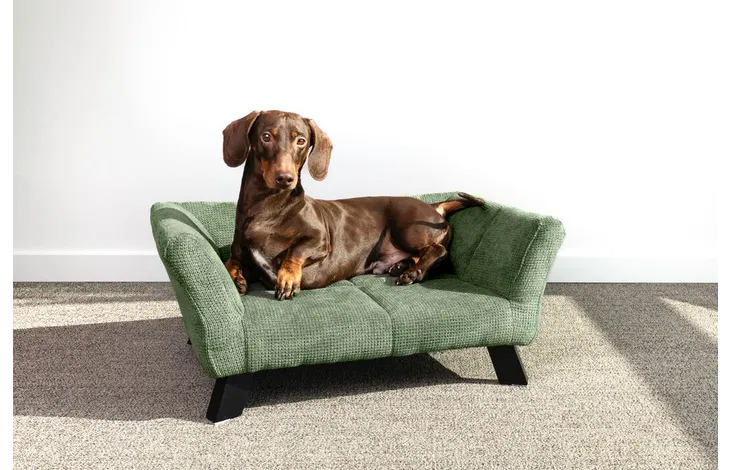 Pohovka pre malého psa FLAMINGO Sofa Damario 62,5x43cm zelená 1