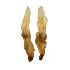 MAPES králičie uško bal. 55 g