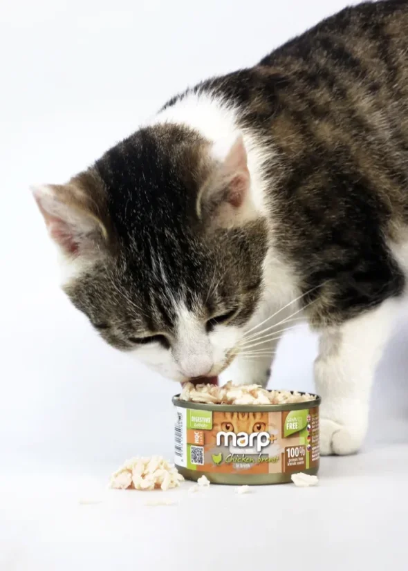 Marp Holistic+ konzerva pre mačky Kuracie prsia vo vývare 70g 4