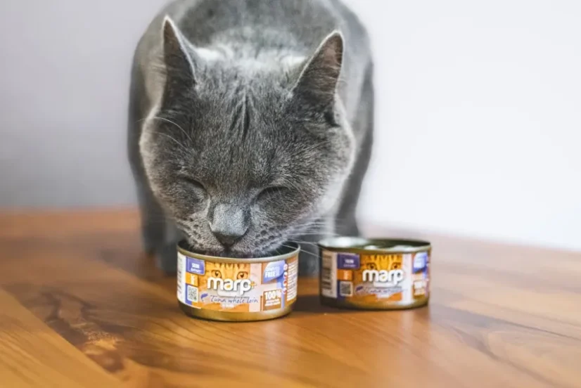 Marp Holistic+ konzerva pre mačky Tuniakové filety vo vývare 24x70g 3