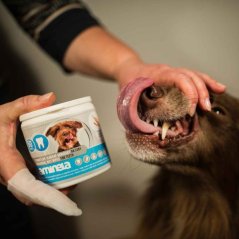 AMINELA obrúsky na zuby 50ks