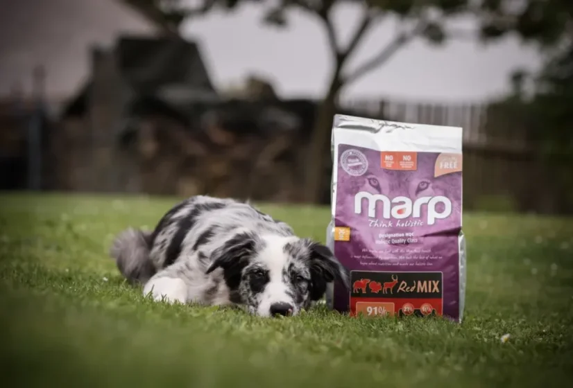 Marp Holistic  Red Mix granule bez obilnín pre dospelé psy a šteňatá všetkých plemien 2kg 4