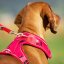 CURLI Belka Harness M 64-70 cm Red