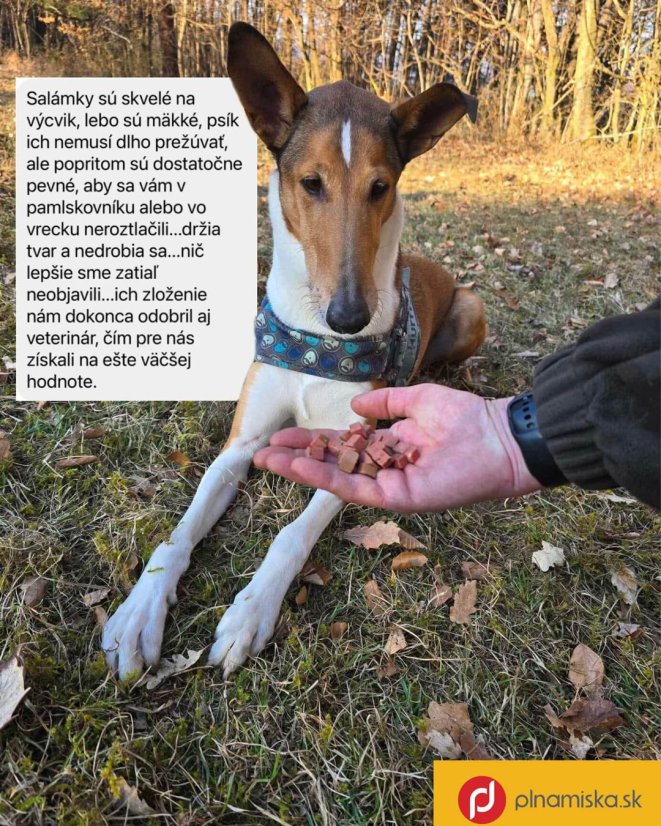 NATURIS Houdbaar výcviková saláma Kalkoen morka 200g recenzia 3